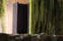 Mais Plus Que Cela Je Ne Peux Pas Floor Lamp by Nemo Ark