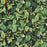 Papier peint UON-05 Greenery par UON pour NLXL