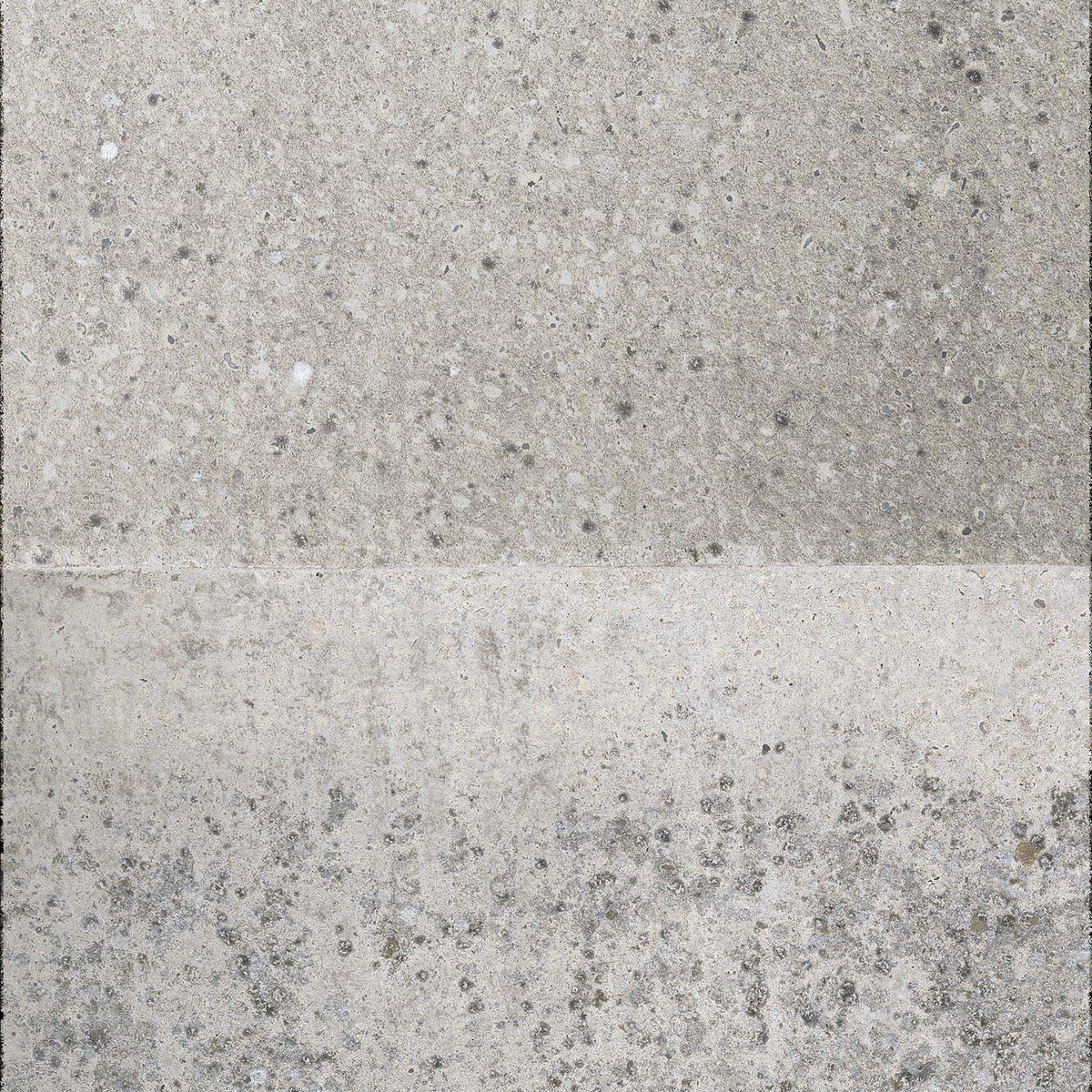 CON-05 Weathered Moss Concrete wallpaper by Piet Boon for NLXL