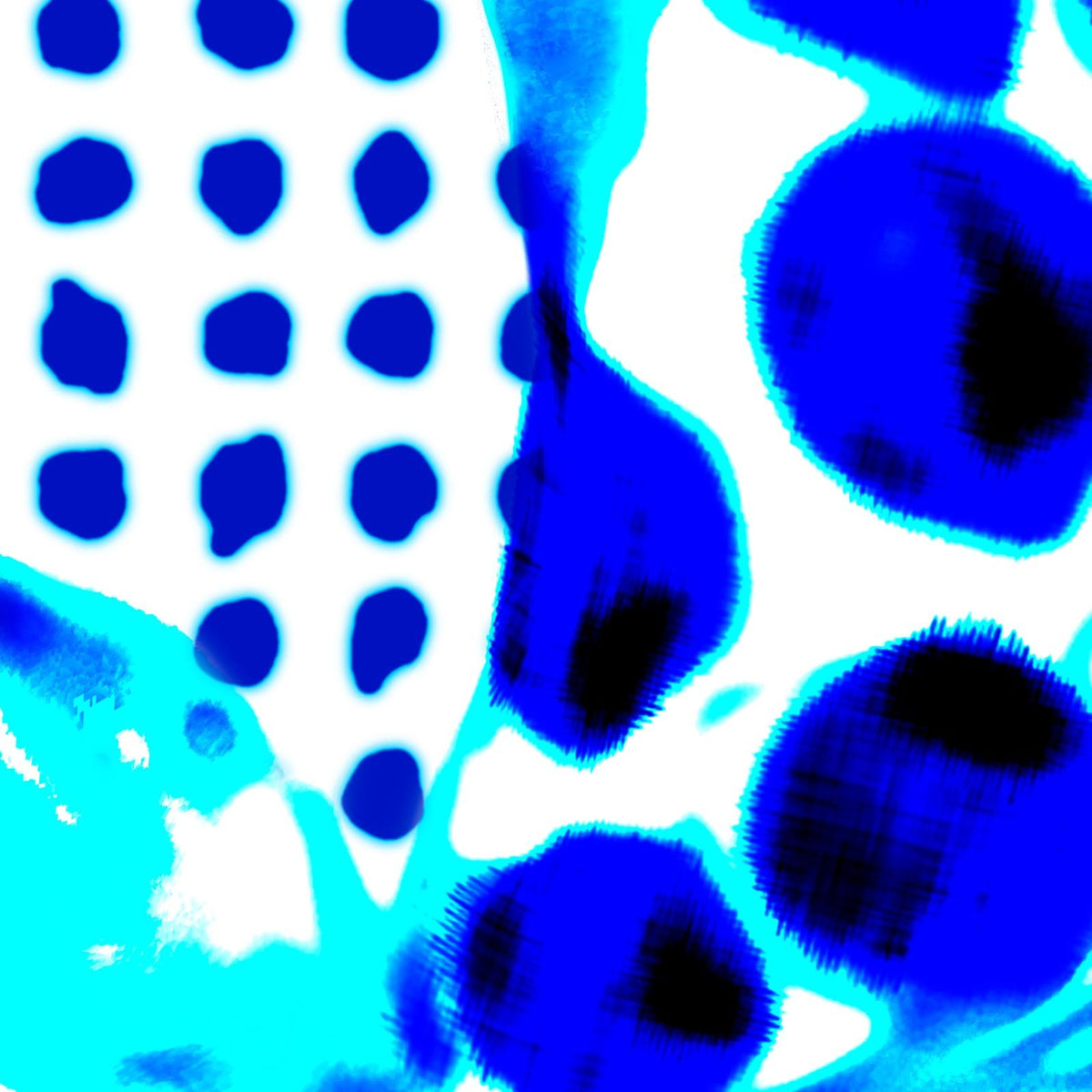 PNO-01 Fish & Dots wallpaper by Paola Navone for NLXL