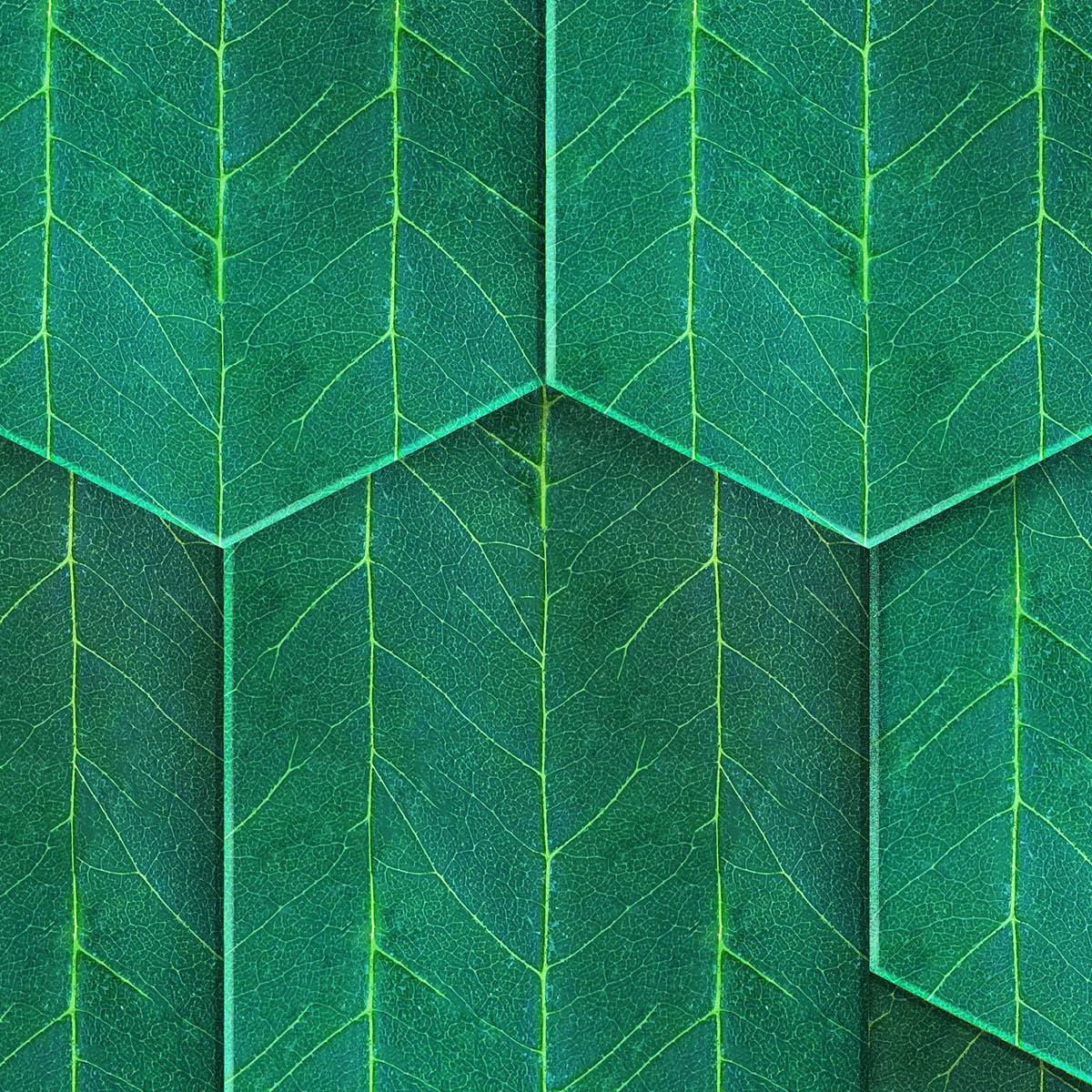 SUZ-08 Rainy Woods Wallpaper by Suzan Hijink for NLXL