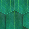 SUZ-08 Rainy Woods Wallpaper by Suzan Hijink for NLXL