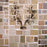 EKA Biblioteca wallpaper by Ekaterina Panikanova for NLXL