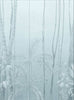 Papier peint UON-01 Amazonas Blue par UON pour NLXL