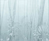 Papier peint UON-01 Amazonas Blue par UON pour NLXL