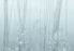 Papier peint UON-01 Amazonas Blue par UON pour NLXL
