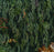 UON-06 Art Deco Jungle Wallpaper by UON for NLXL