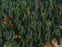 UON-06 Art Deco Jungle Wallpaper by UON for NLXL