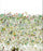 ASU-01 Enchanted Garden Wallpaper par Anna Surie pour NLXL