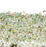 ASU-01 Enchanted Garden Wallpaper par Anna Surie pour NLXL