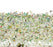 ASU-01 Enchanted Garden Wallpaper par Anna Surie pour NLXL