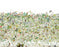 ASU-01 Enchanted Garden Wallpaper par Anna Surie pour NLXL