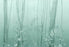 UON-02 Amazonas Green Wallpaper by UON for NLXL