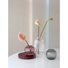 Collection de vases Primula par Holmegaard