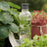 Drink-It Water Bottle 0.75 L by Rig-Tig