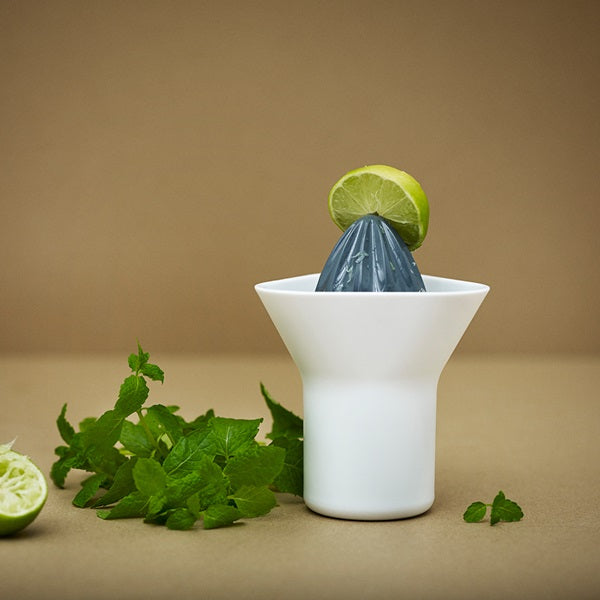 Citrus Squeezer by Rig-Tig