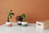 Plant-It Flowerpot by Rig-Tig