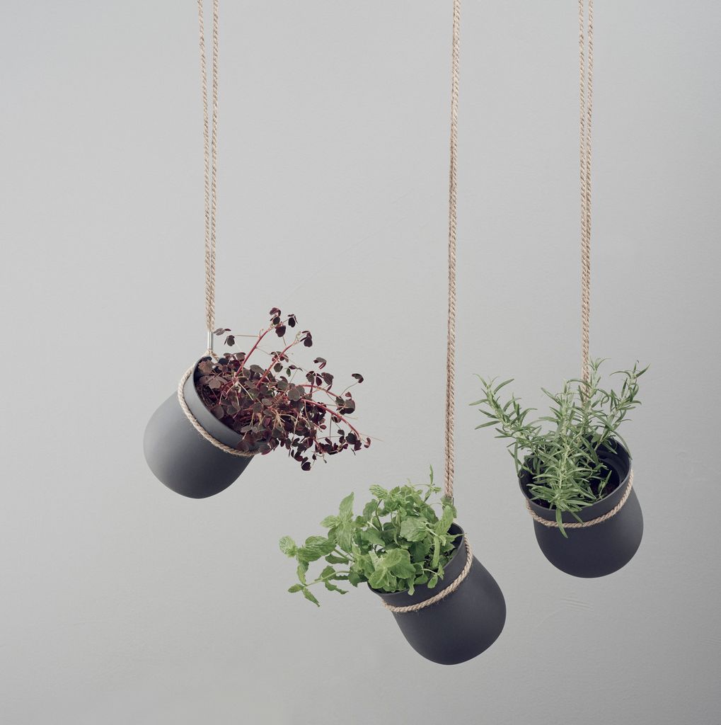 Grow-It Herb Pot by Rig-Tig