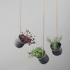Grow-It Herb Pot by Rig-Tig