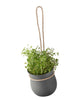 Grow-It Herb Pot by Rig-Tig