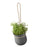 Grow-It Herb Pot by Rig-Tig