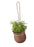 Grow-It Herb Pot by Rig-Tig