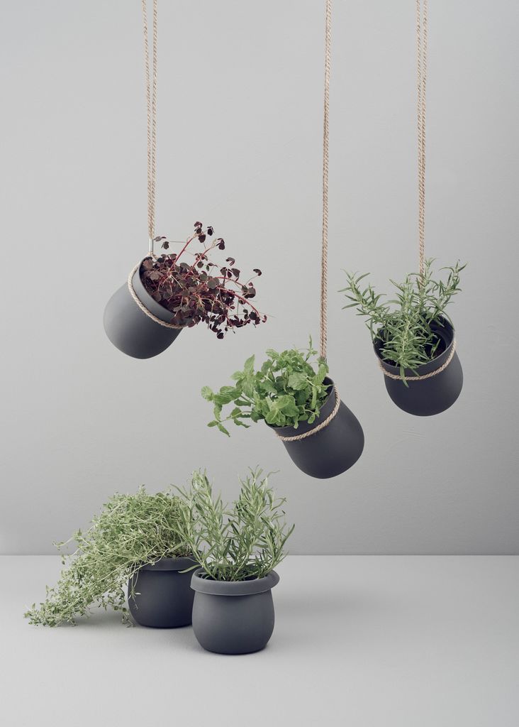 Grow-It Herb Pot by Rig-Tig