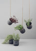 Grow-It Herb Pot by Rig-Tig