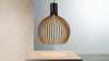 Octo 4240 Pendant Lamp by Secto Design