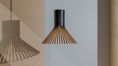 Puncto 4203 Pendant Lamp by Secto Design