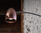 Hercules LED Floor Lamp by Seed Design
