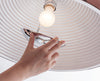Dome M/L Pendant Lamp by Seed Design