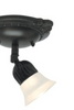1803 Ceiling Track Light by Signature M&M