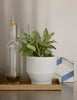 Nomad Tray by Skagerak by Fritz Hansen