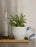 Nomad Tray by Skagerak by Fritz Hansen