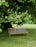 Banc Drachmann par Skagerak par Fritz Hansen