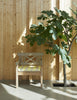 Drachmann Chair by Skagerak by Fritz Hansen