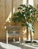 Drachmann Chair by Skagerak by Fritz Hansen