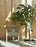 Drachmann Chair by Skagerak by Fritz Hansen
