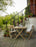 Table Selandia 75 par Skagerak par Fritz Hansen