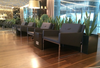 Nova Metal Sled Base Armchair by Soho Concept