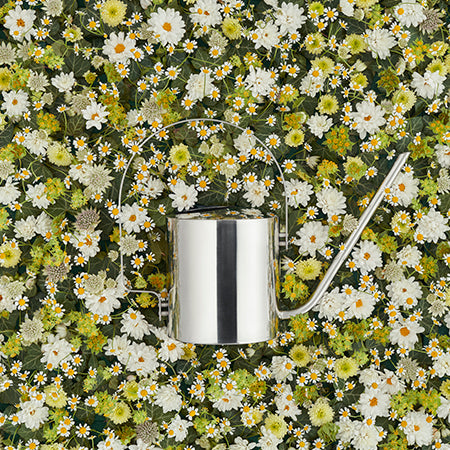 Arrosoir à fleurs original par Stelton