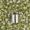 Original Flower Watering Can by Stelton