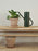 Arrosoir Bloom de Stelton