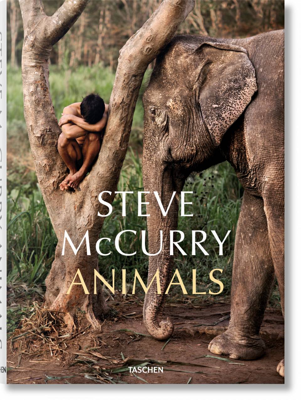 Steve McCurry. Animals by Taschen