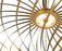 Spring Pendant Lights by Tom Dixon