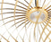 Spring Pendant Lights by Tom Dixon