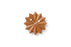 Fan Clock by Vitra