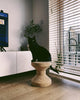 Cork Family by Vitra