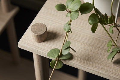 Elevate Shelving System by Woud Denmark